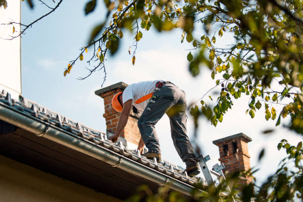 Best Storm Damage Roof Repair  in Marriott Slaterville, UT